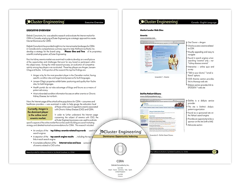 CERA Executive Report