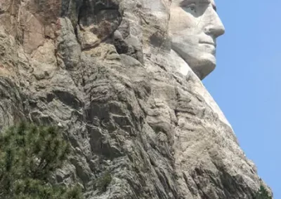 Image of side profile of George Washington at Mount Rushmore with bird flying overhead.