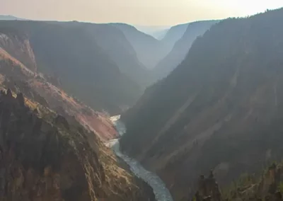 Image of Yellowstone Grand Canyon at sunrise with daredevil squirrel leaping from tree to tree above the canyon below.